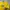 Adidas X The Simpsons photo 3
