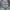 Streetwear Sportswear Hoody Pria gray photo 3