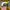 Topi custom bootleg Bass pro shops splash by level Xero photo 5