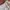 Mermaid skirt cream colour elegant photo 4