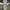 Y2K Casual Formal pants Pria tan photo 1