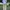 Y2K Casual Formal pants Pria tan photo 3
