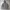 Uniqlo Sportswear Minimalist Parka Wanita gray photo 1