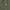 Ben Davis Vest Olive Green photo 2