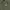 Ben Davis Vest Olive Green