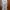 Trench Coat photo 8