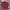 Ben Davis Long-Sleeve Workshirt Red Black