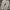 Converse aucland ultra photo 5