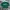 Ben Davis Knitwear Two Side Green