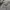 Levi’s vintage clothing 701 selvedge jeans photo 7