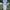 Y2K Casual Formal pants Pria cream photo 3