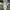 Y2K Casual Formal pants Pria cream photo 1