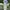 Y2K Casual Formal Pants Pria Cream