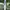 Y2K Casual Formal pants Pria cream photo 2