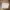 Coach Vintage Shoulder bag Wanita tan cream photo 4