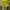 MEADOW Lime Mint Maxi Dress photo 2