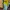 MEADOW Lime Mint Maxi Dress photo 3