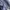 Reebok Casual Hoody Pria navy photo 3