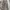 Pull & Bear Cargo Pants