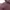AXES FEMME Mori-kei Dress Maroon Floral Bordir Renda photo 8