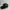 Bass pro shops Fishing Trucker Hats black photo 4