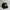 Bass Pro Shops Fishing Trucker Hats Black