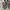 VANS X VIVIENNE WESTEOOD CHECKBOARD SLIP ON ANGLOMANIA photo 3