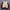 Sherpa jacket jsw photo 7