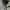 Carhartt Trucker Hats grey photo 5