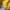 Covernat Sportswear Casual Sweater Pria yellow photo 5