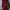 Casual Midi dress Wanita red brown photo 1