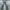 2000s Diesel Boot Cut Jeans photo 2
