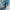 ACE OUTDOR  TWO IN ONE CROSBODYBAG/DUFFELBAG BLUE&GREY photo 3