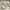 Nike Sportswear Sneakers Pria white tan photo 1