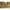 STEVE J & Yoni P| Vintage Korean Embroidery Botanic Pullover photo 6