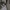 Japanese brand Minimalist Polo shirt Pria cream tan photo 3