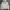 thisisneverthat Skater Sportswear Hoody Pria gray photo 1