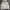 Thisisneverthat Skater Sportswear Hoody Pria Gray