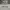 thisisneverthat Skater Sportswear Hoody Pria gray photo 2