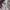 Timberland Vintage Y2K Formal shirt Pria white red photo 4