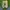 Adidas Superstar OT Tech photo 5