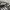 Adidas Casual Sneakers Pria white gray photo 2