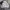 Polo Ralph Lauren Minimalist Hoody Pria white photo 1