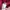 Uniqlo Streetwear Y2K Hoody Pria Black Red