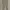 VALINO Low Rise Chinos Pants