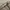 VALINO Low Rise Chinos Pants photo 4