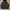 Adidas Casual Track jacket Pria yellow black photo 2