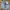 LEVIS 511 SLIM FIT ACID BLUE LIGHT WASH STRETCH DENIM JEANS