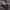 292513 Storm Flared pants not hysteric glamour  photo 3