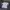 T-shirt Queenlekha  photo 2